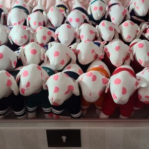 Nfl and College mini Pups